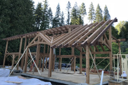 Photo: 3644 in Traditional Timber Frame House